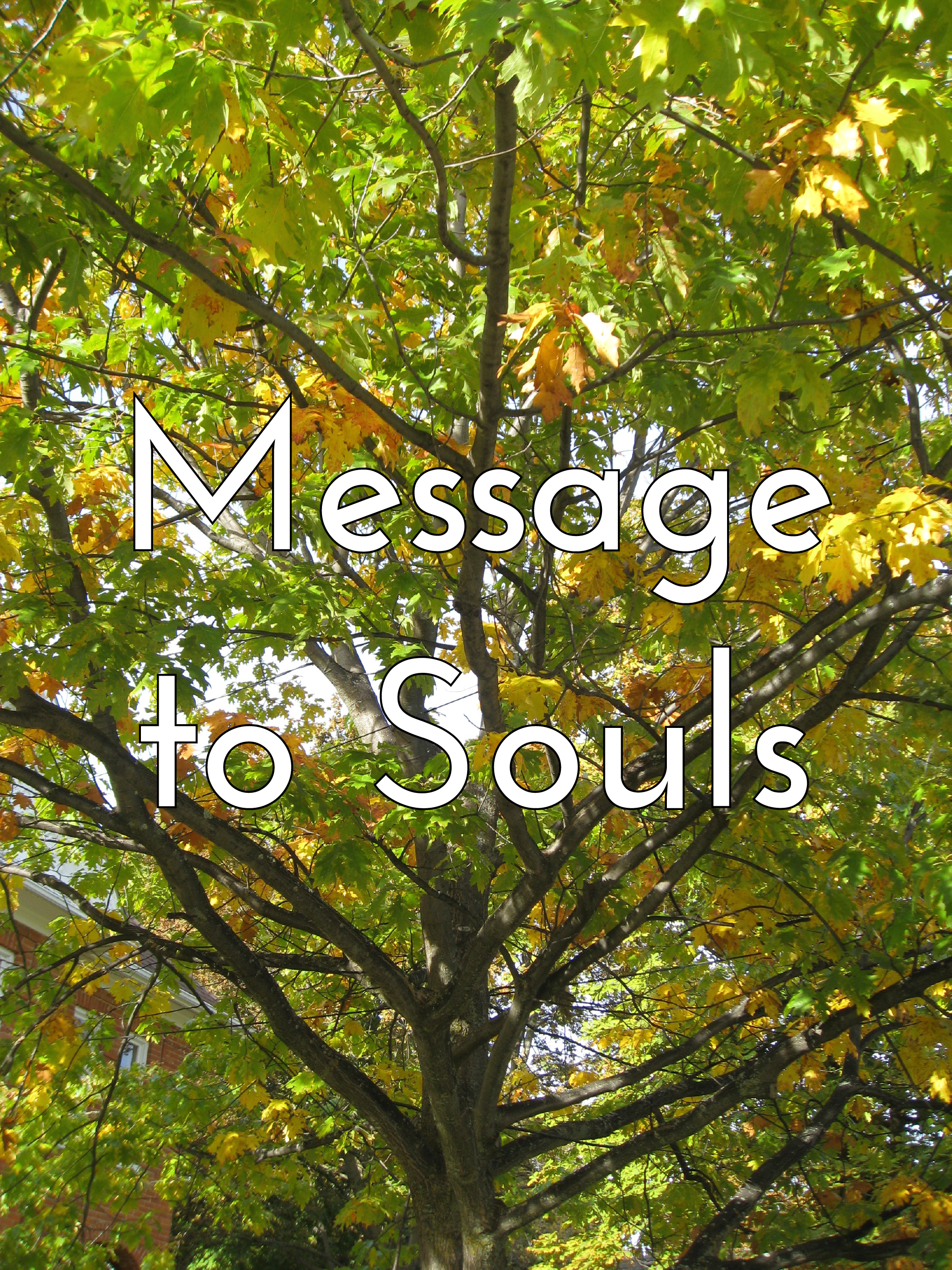 Message to Souls